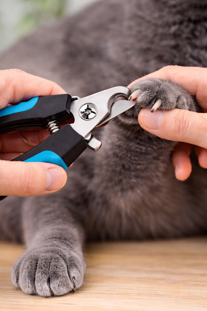 Krallenschere für Katzen